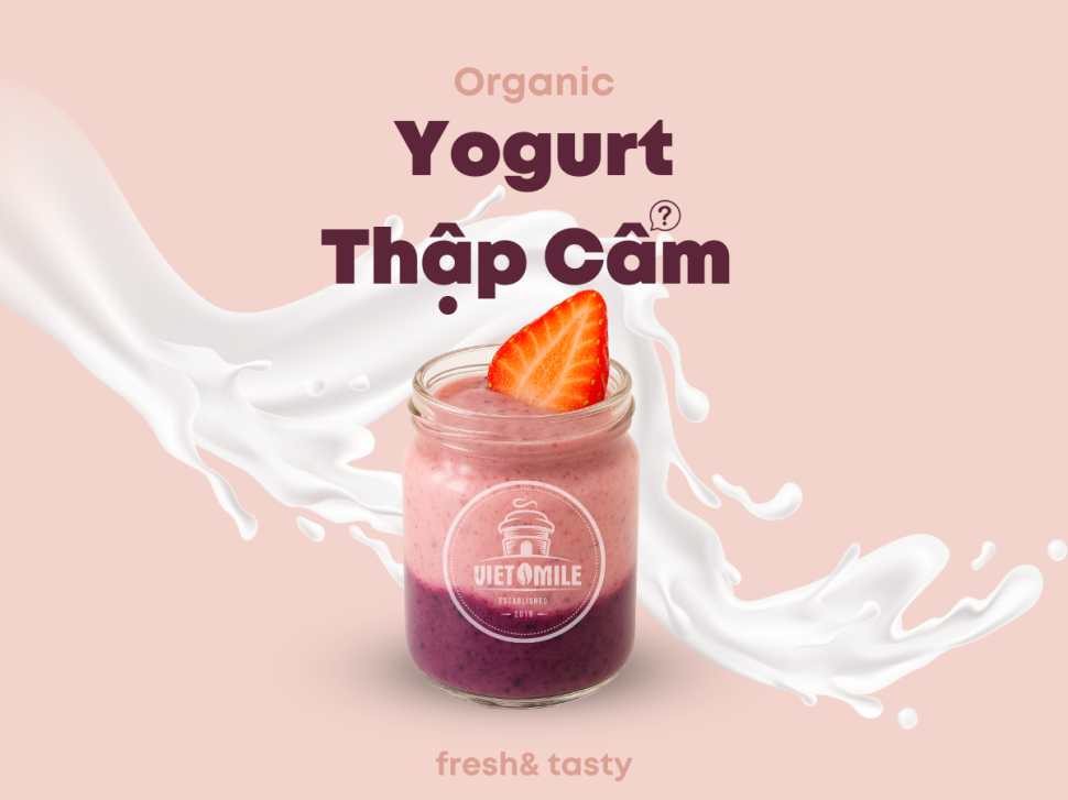 Top 6 Món Yaourt Ngon Tuyệt tại Vietsmile Coffee
